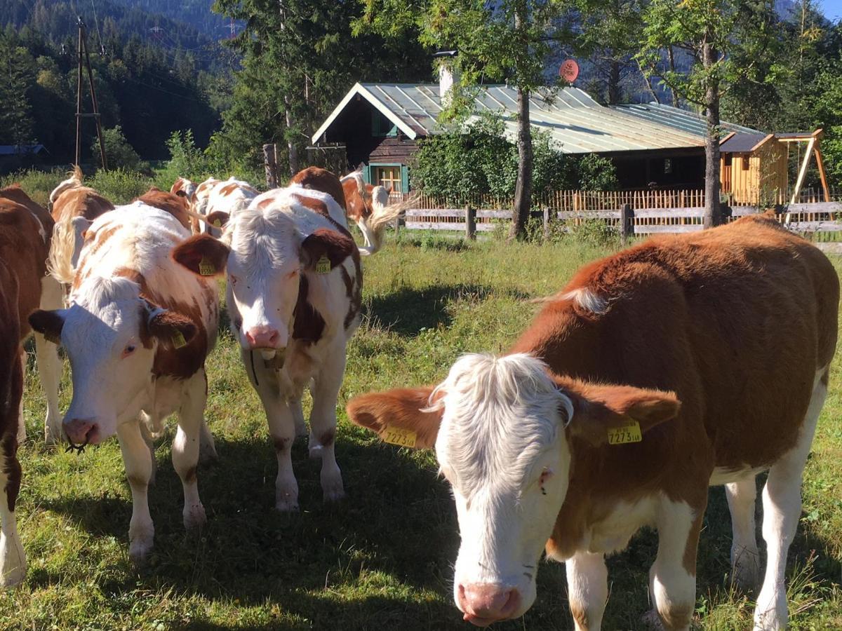 Knusperhauschen Sonnegg Vila Flachau Exterior foto